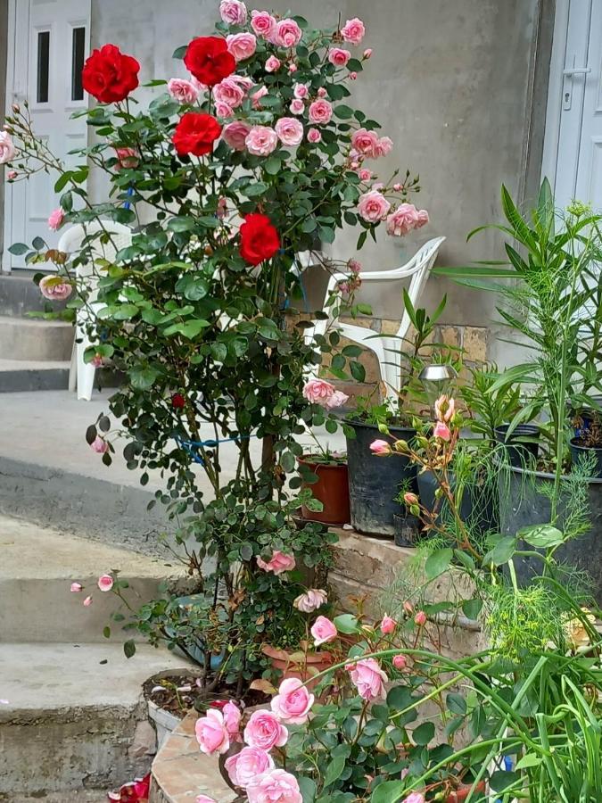 Apartman Turkana 2 Saraievo Exterior foto